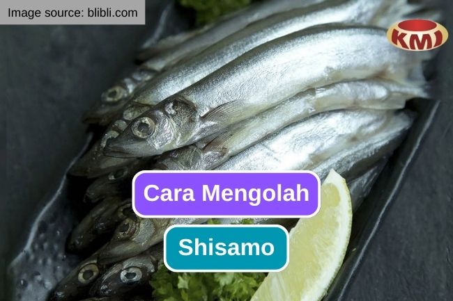 8 Cara untuk Menikmati Ikan Shisamo